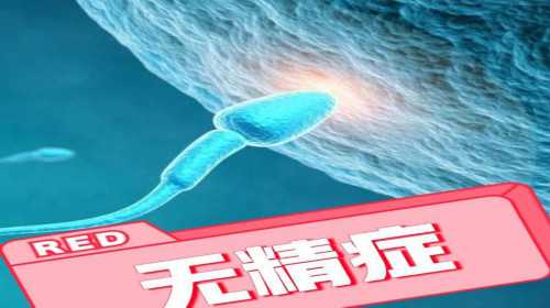 广州专业代怀价格低 广州市人口与计划生育管理办法 ‘45天B超单孕囊3个数据如