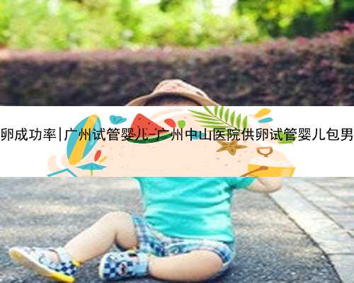广州借卵成功率|广州试管婴儿-广州中山医院供卵试管婴儿包男孩价格
