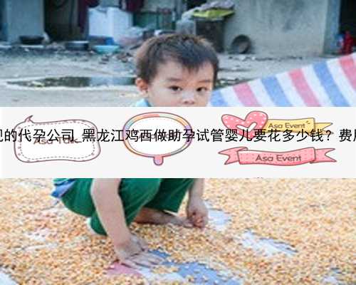 黑龙江最正规的代孕公司_黑龙江鸡西做助孕试管婴儿要花多少钱？费用明细看